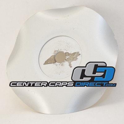 # 17 TSW Center Cap Display Model