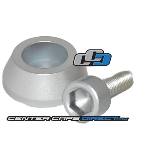 1 Bolt and 1 Screw Ballistic Jester Silver bolt Short Screw measure .9